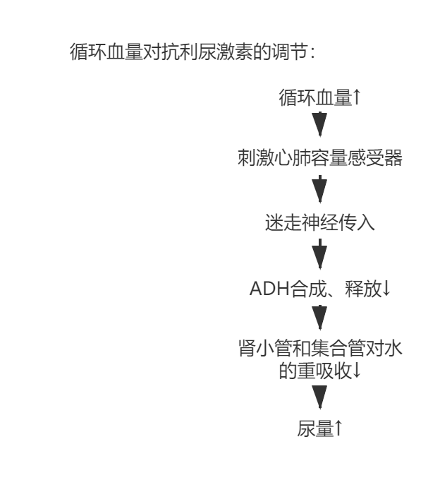 ADH Mechanism