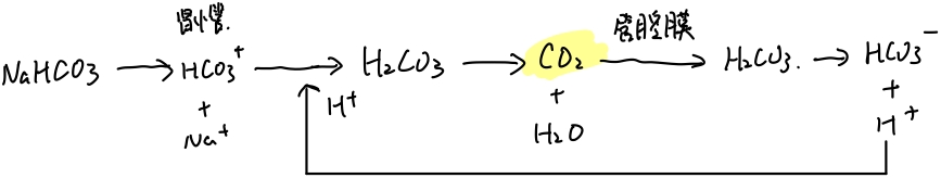 Reabsorption Processes