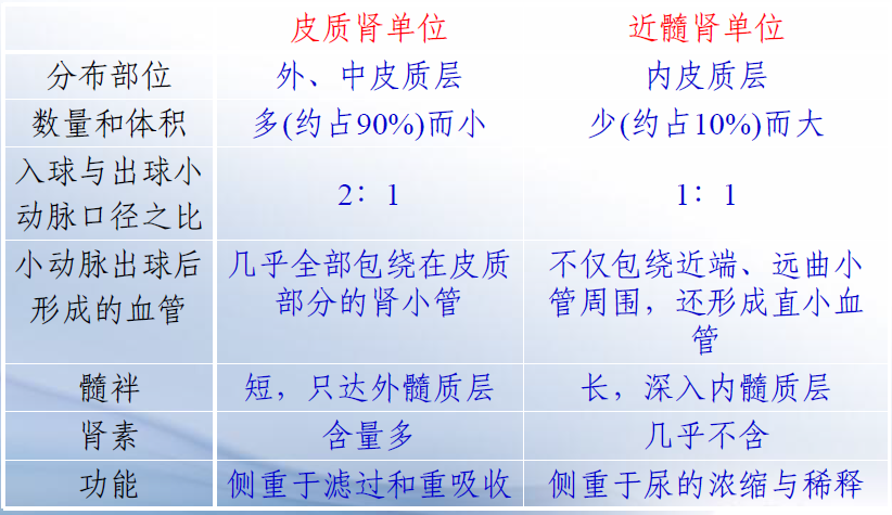 Renal Units